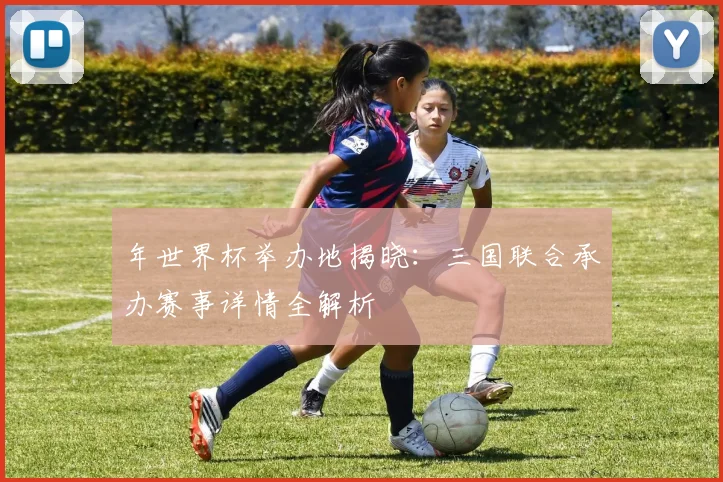 年世界杯举办地揭晓：三国联合承办赛事详情全解析