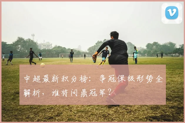 中超最新积分榜：争冠保级形势全解析，谁将问鼎冠军？